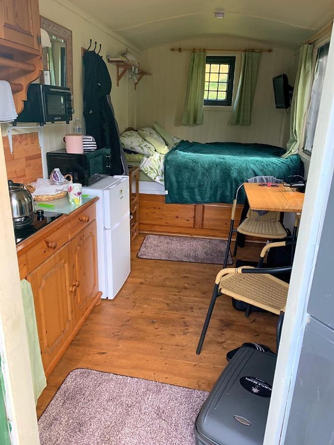 Snug & Secluded Lakeside Shepherds Hut 'Carp' 어크필드 외부 사진