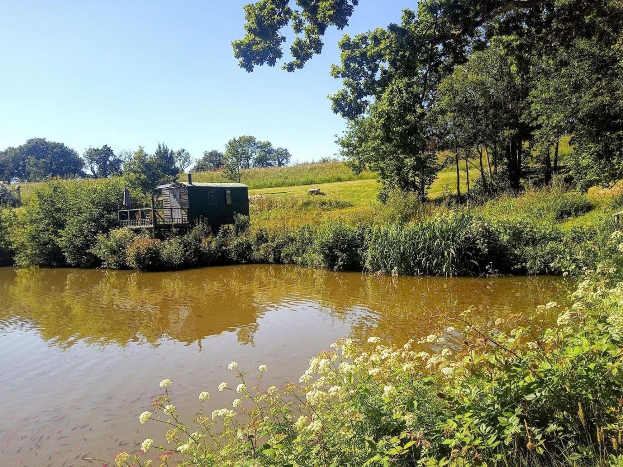 Snug & Secluded Lakeside Shepherds Hut 'Carp' 어크필드 외부 사진